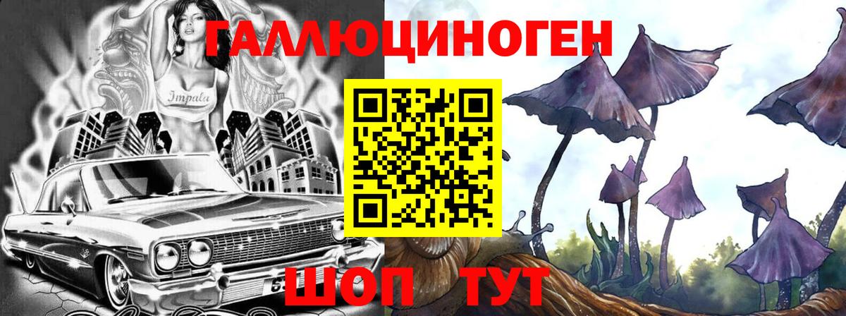 Псилоцибиновые грибы Psilocybe  дарнет шоп  Азнакаево  Вход с VPN 